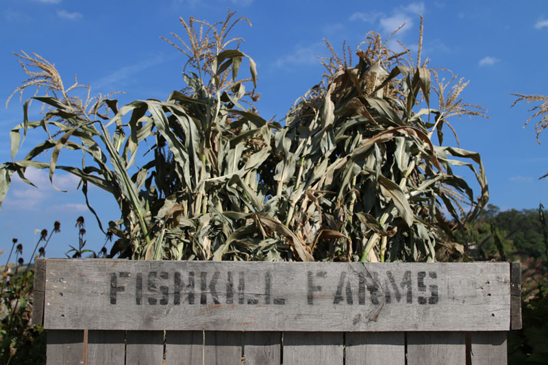 Fishkill Farms Apple Orchard, NY