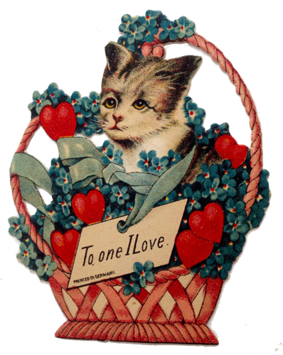 German-cat-Valentine