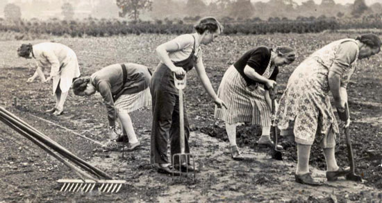 WI-women-gardening