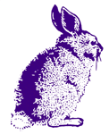 bunny-stamp