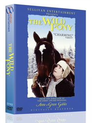 the-wild-pony-250