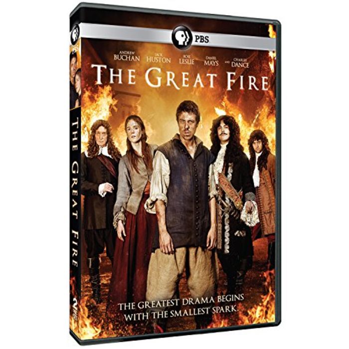 The Great Fire (2014)