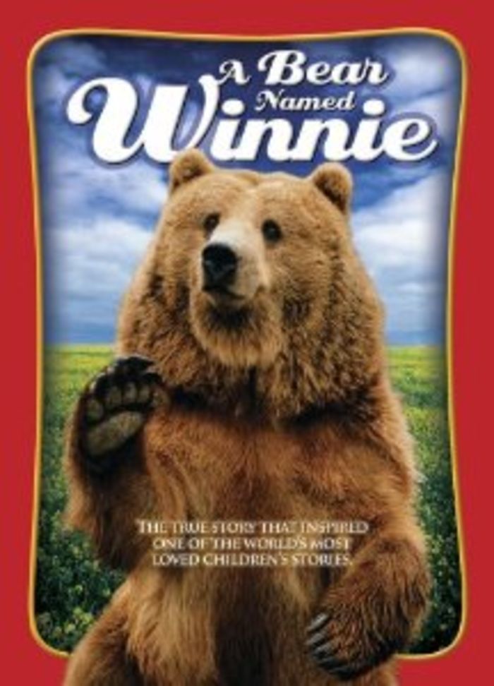 A Bear Named Winnie (2004)