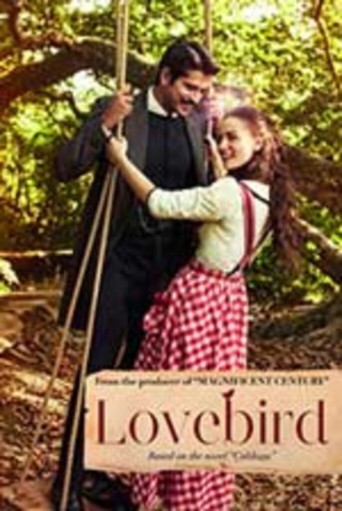 Love Bird / Calıkusu (2013)