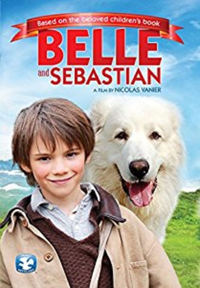 Belle and Sebastian (2013)