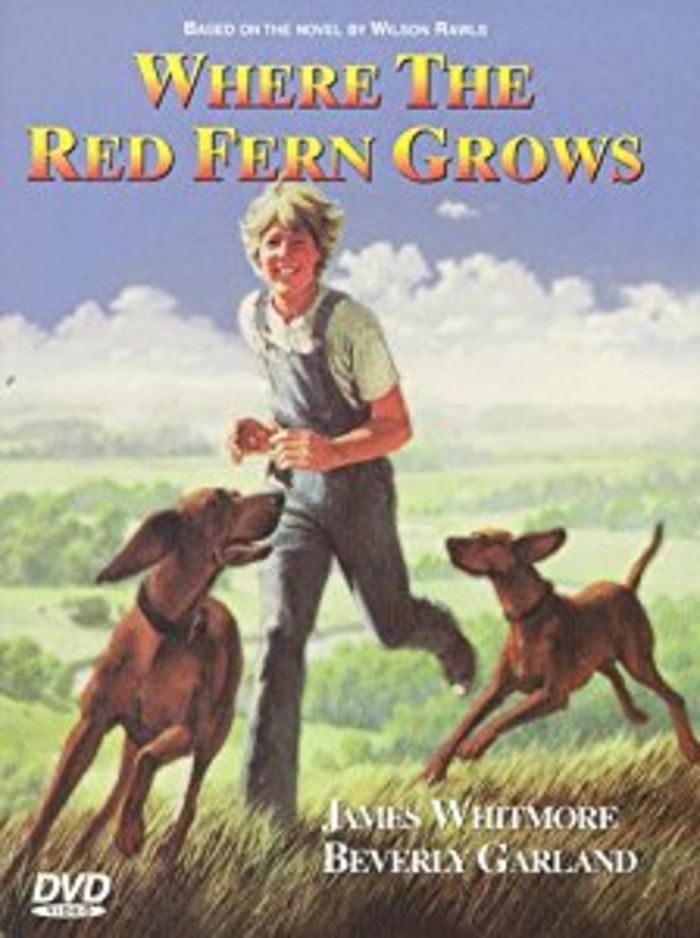 Where the Red Fern Grows (1974)